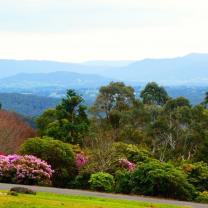 National Rhododendron Garden