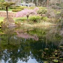 National Rhododendron Garden