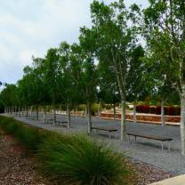 Royal Botanic Gardens Cranbourne 