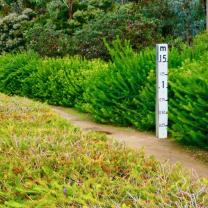 Royal Botanic Gardens Cranbourne 