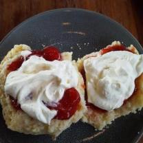 Morning Tea - Barn Owl Cafe, Silvan