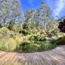 Dandenong Ranges Botanic Garden