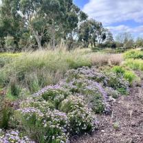 Royal Botanic Gardens, Cranbourne