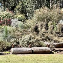 Dandenong Ranges Botanic Garden