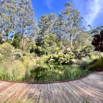 Dandenong Ranges Botanic Garden